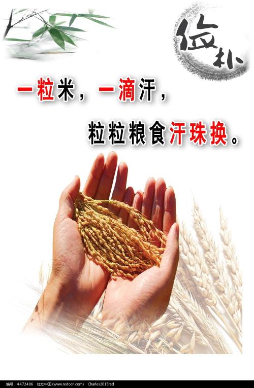 萨萨里音乐学院BusinessAdministrationDegreeCertificate